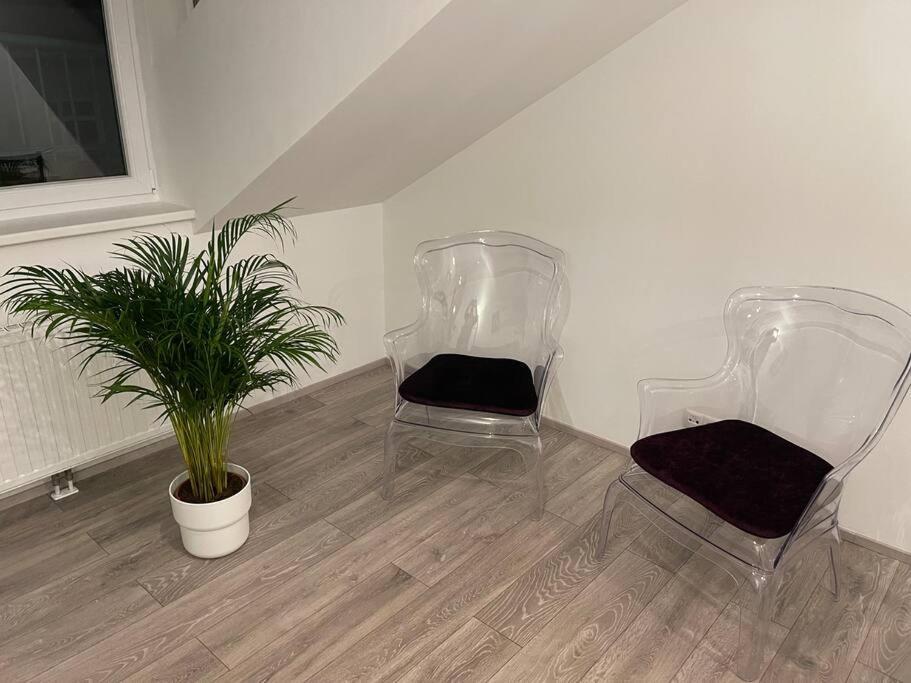Dachterrasse Fuer 4 Personen Apartment Wien Ngoại thất bức ảnh